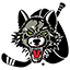 Chicago Wolves